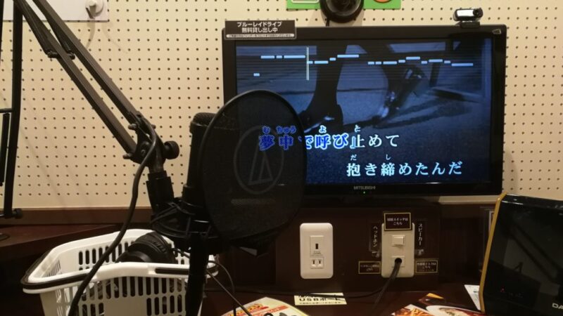 【ヒトカラ】カラオケ練習に最適!スピーカーや音量のおすすめ設定